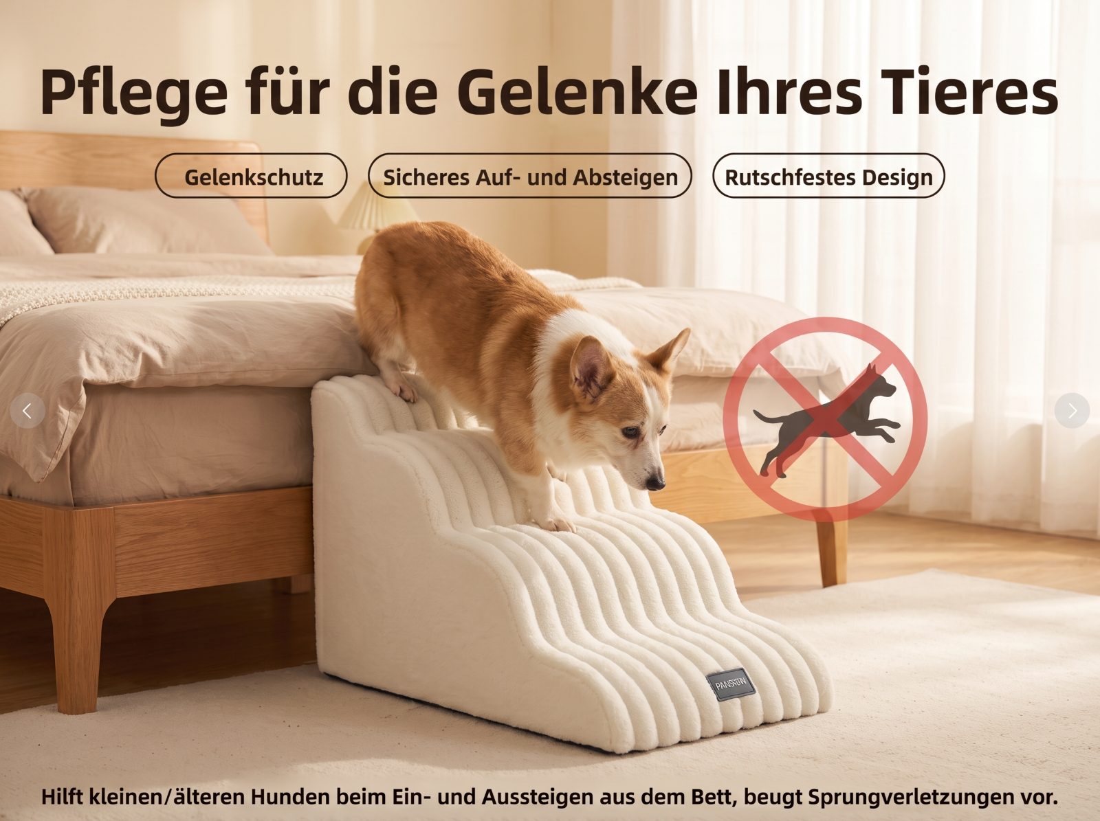 Ein Corgi steht am Bett auf der obersten Stufe und tritt nach unten